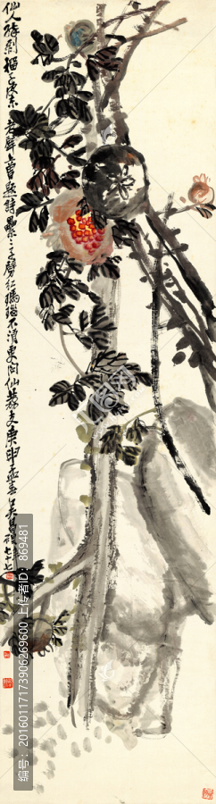 吳昌碩,石榴圖,未分層