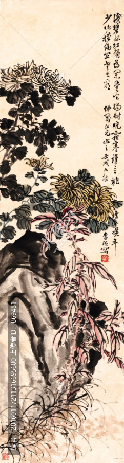李禎,菊花圖,未分層