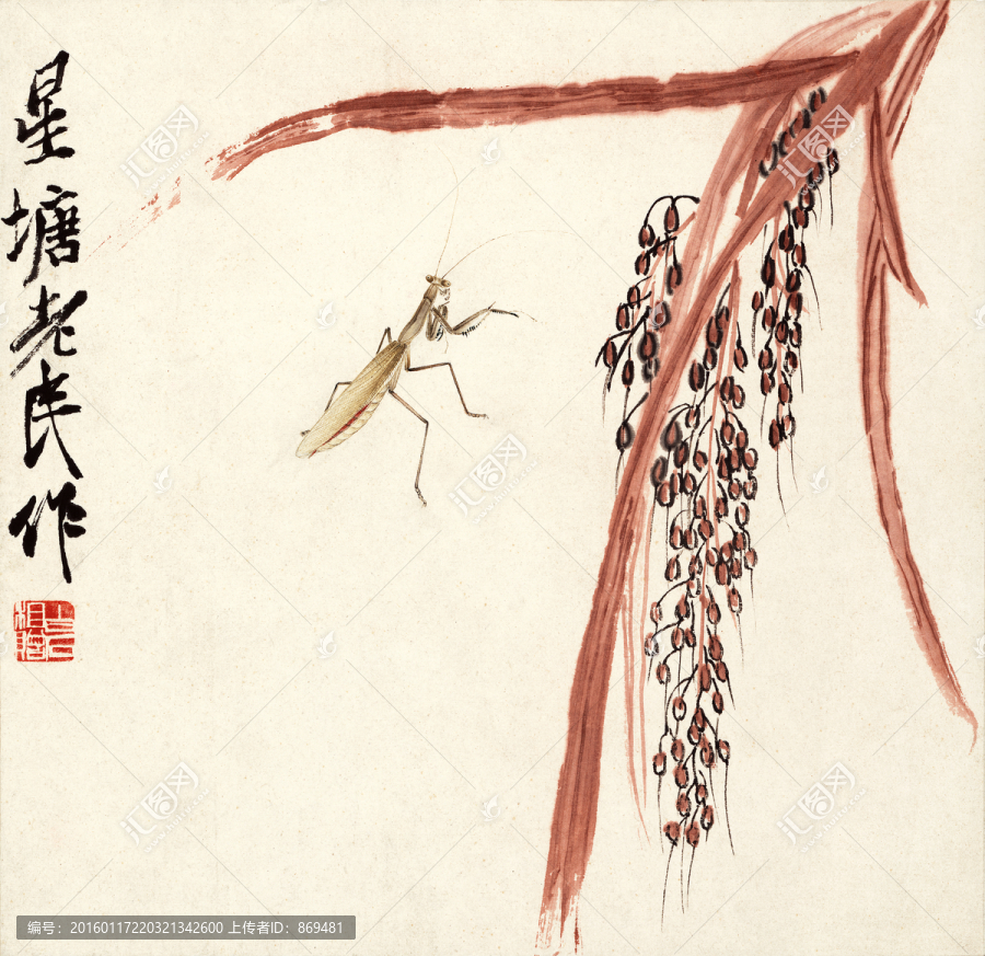 齊白石,螳螂谷穗圖,未分層