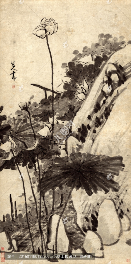 朱耷,墨荷圖,未分層