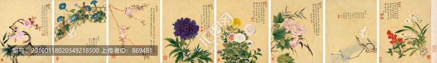 鄒一桂,花卉八開,未分層