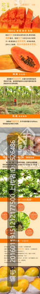 網(wǎng)店商品介紹木瓜