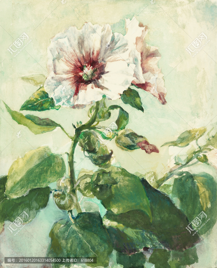 超清花卉水彩畫(huà),畫(huà)廊品質(zhì)