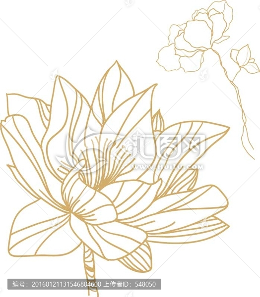 花朵