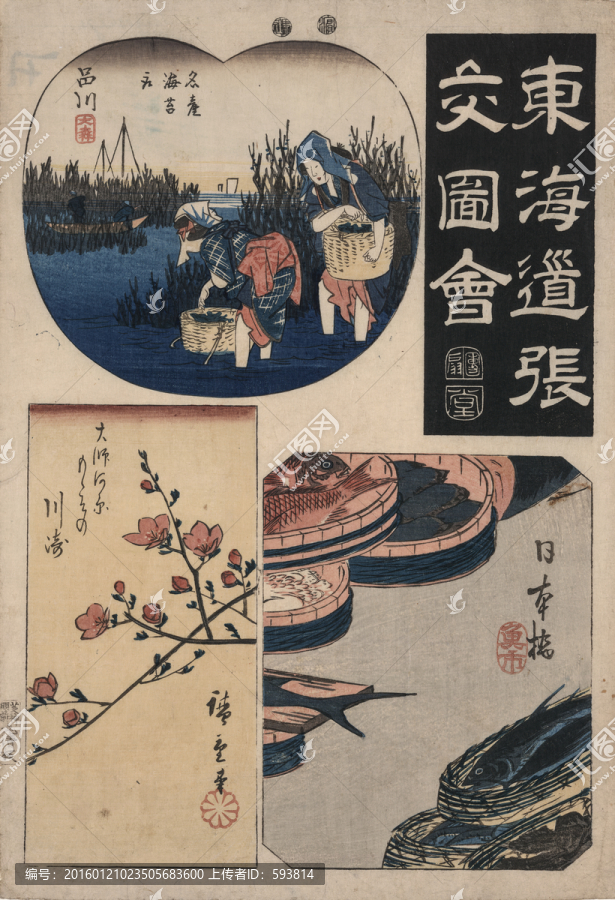 浮世繪,合層