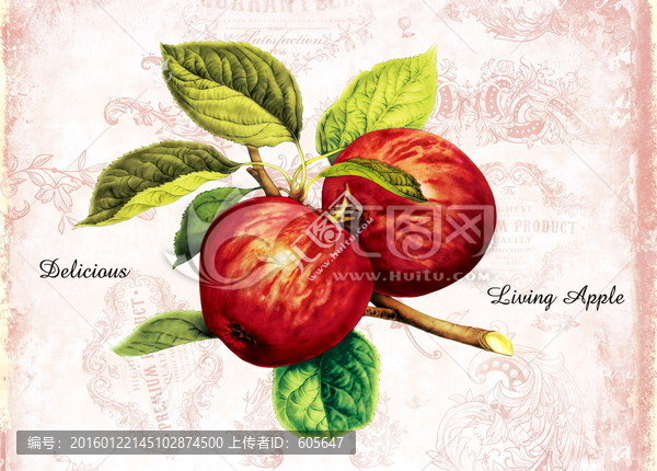 蘋(píng)果