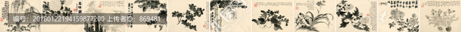 金農(nóng),雜畫冊(cè)頁,未分層