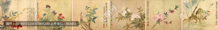 惲壽平,花卉圖冊,未分層