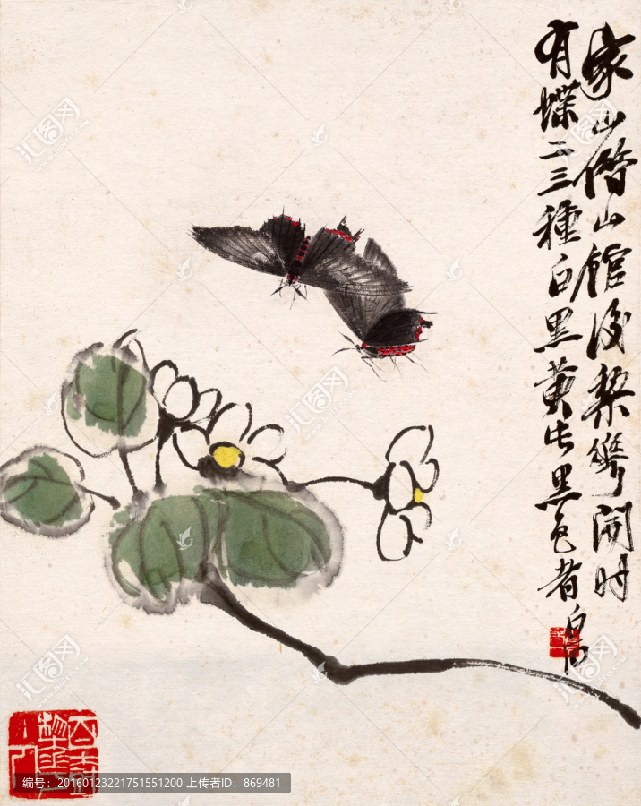 齊白石,花與蝴蝶,未分層