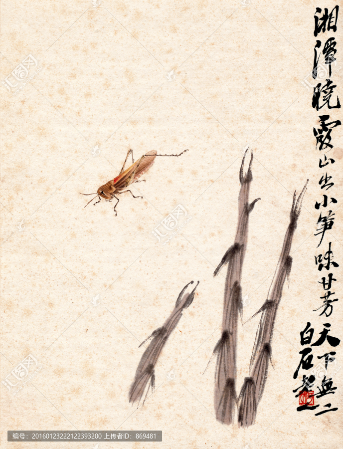 齊白石,竹筍螞蚱,未分層