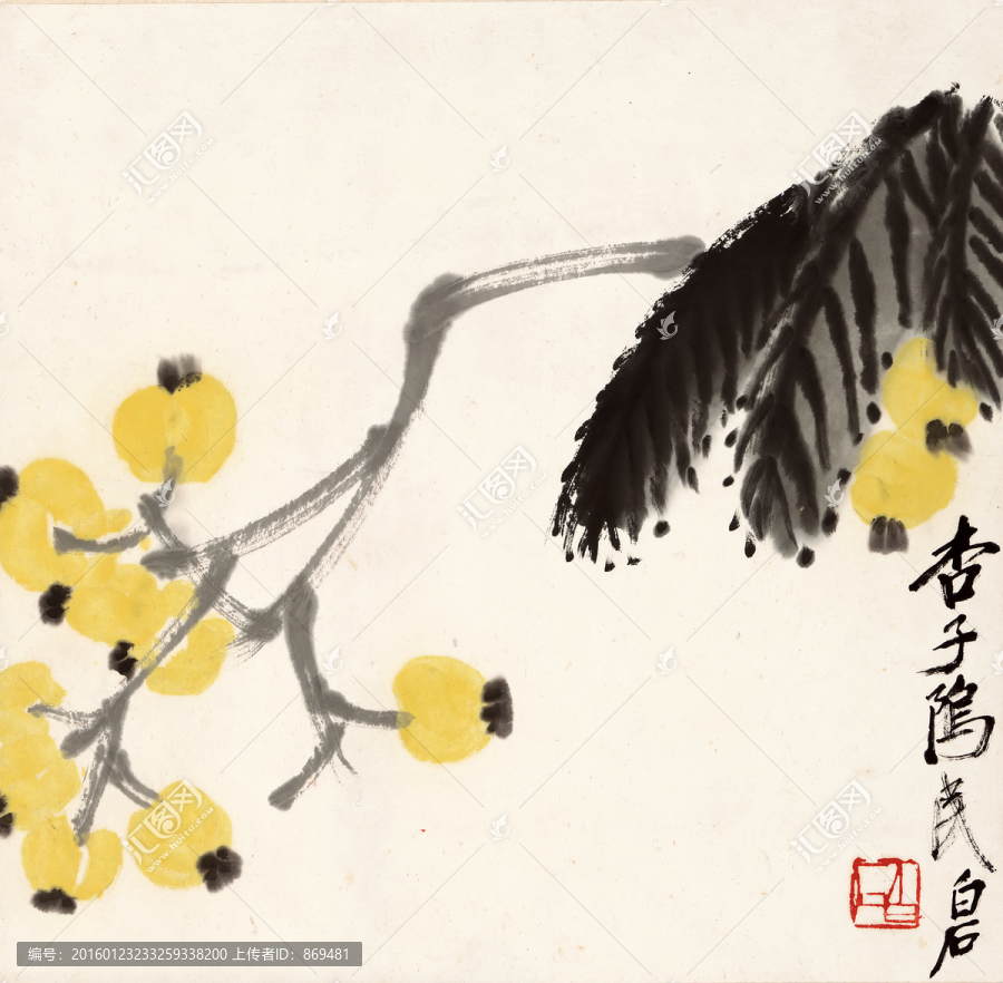 齊白石,枇杷圖,未分層