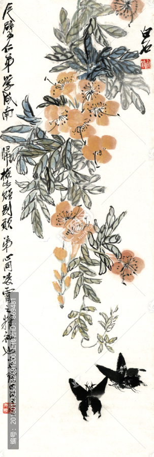 齊白石,黃花雙蝶,未分層