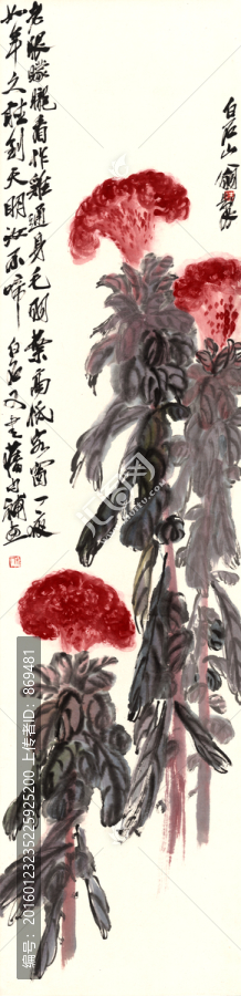 齊白石,雞冠花,未分層