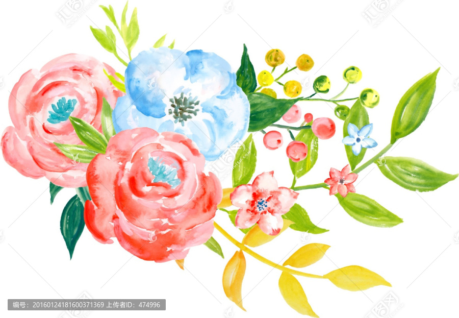 牡丹花水彩手繪