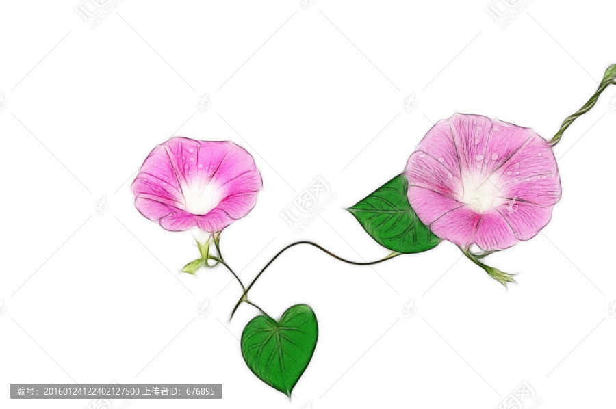 花的創(chuàng)意素材