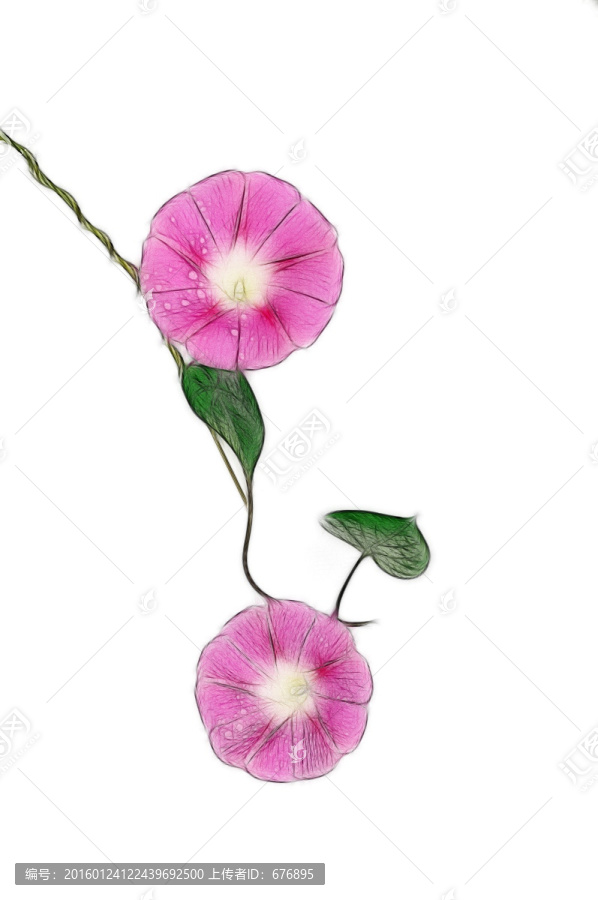 花的創(chuàng)意素材