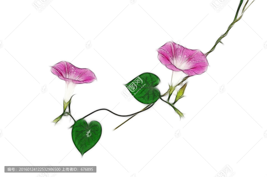 花的設計素材