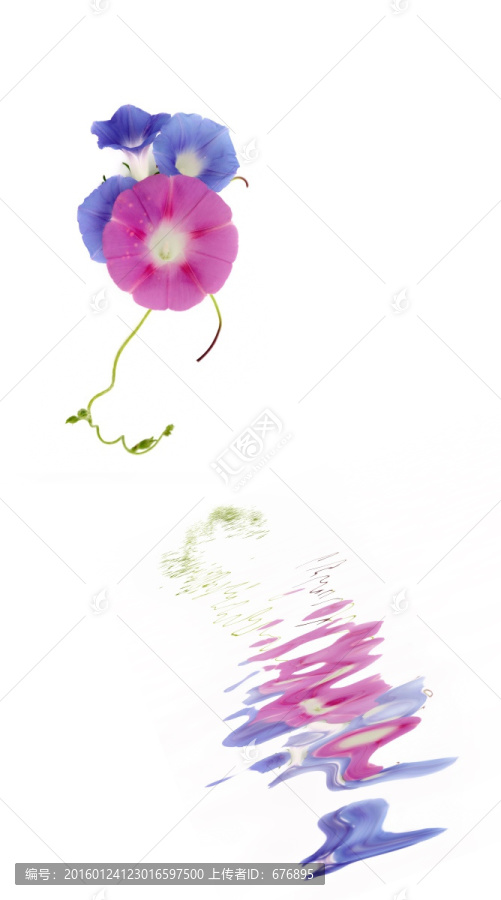 花影畫境