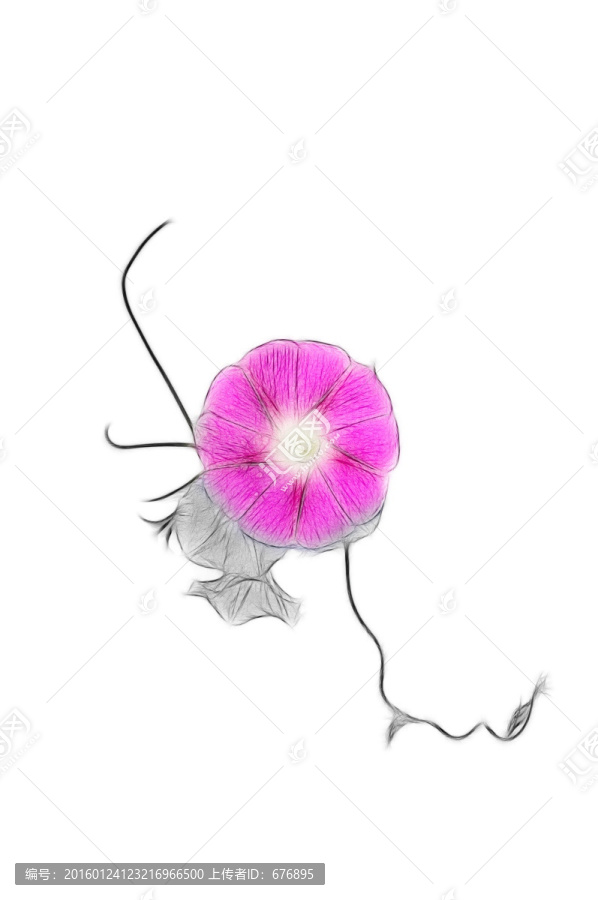 花之美