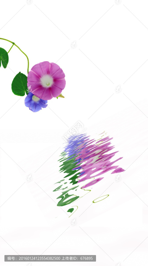 倒影