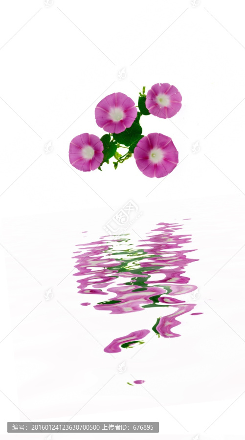 倒影素材