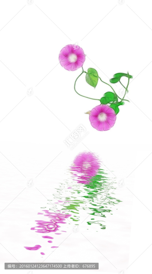 影動秋花開