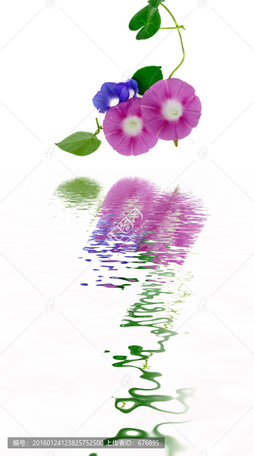 秋華秋水共秋色