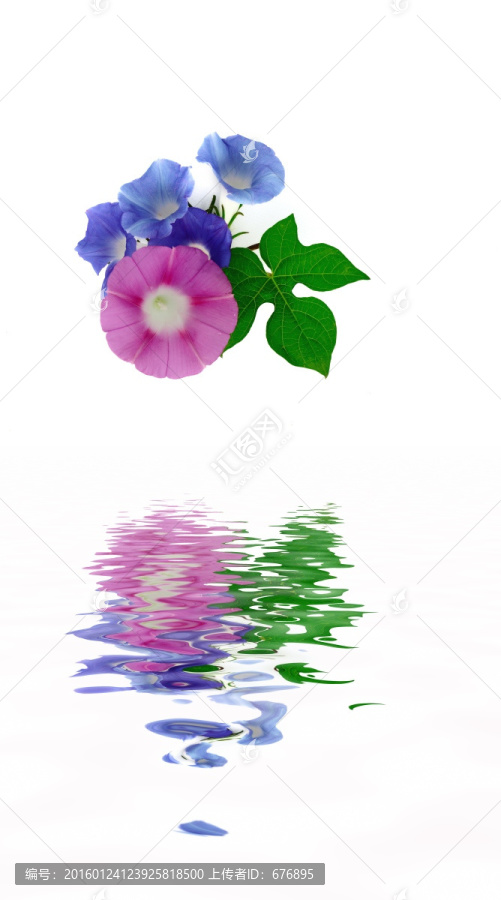 秋華秋水共秋色