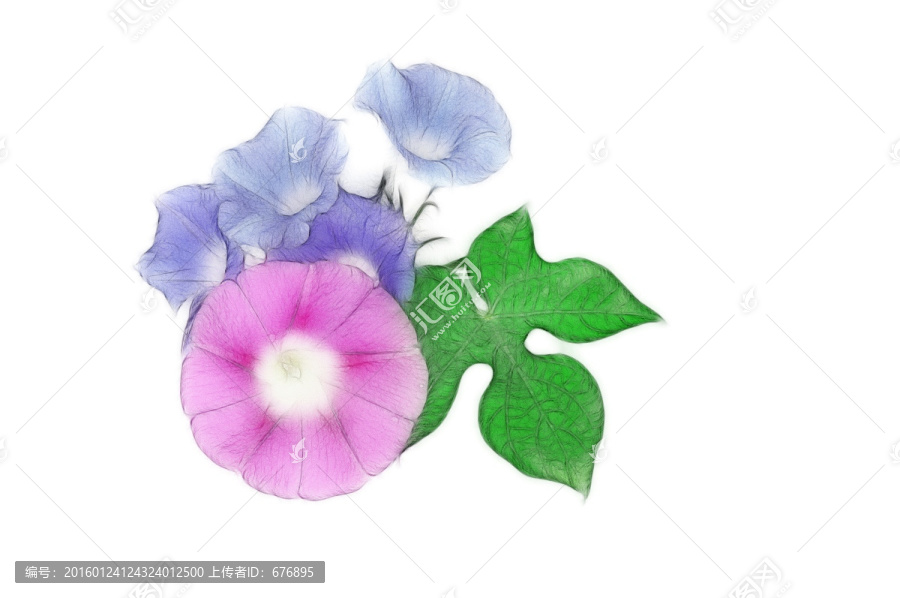 喇叭花設(shè)計素材