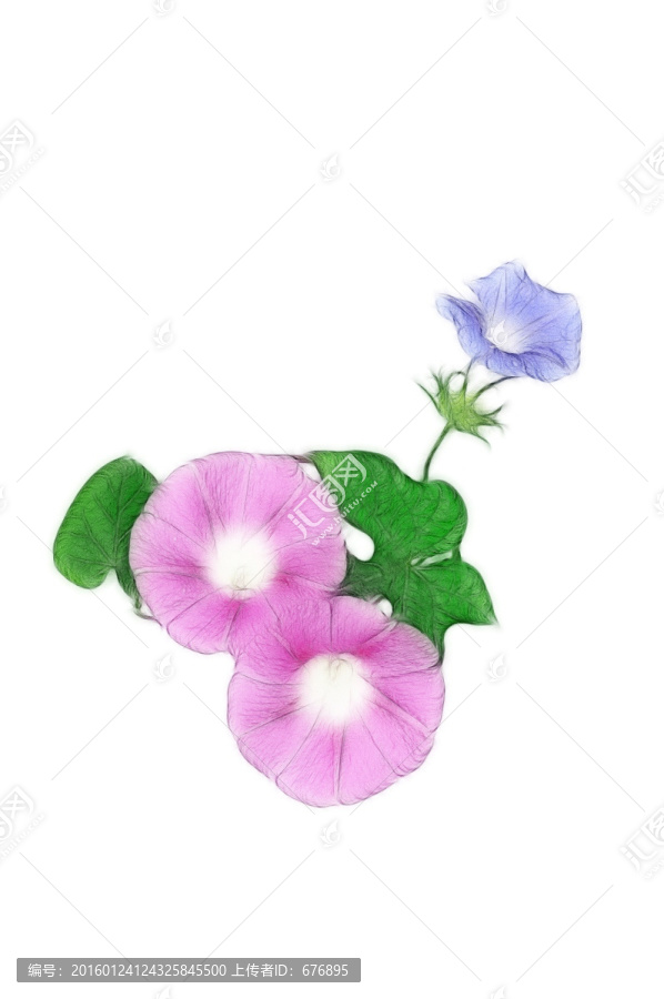 喇叭花設(shè)計(jì)素材