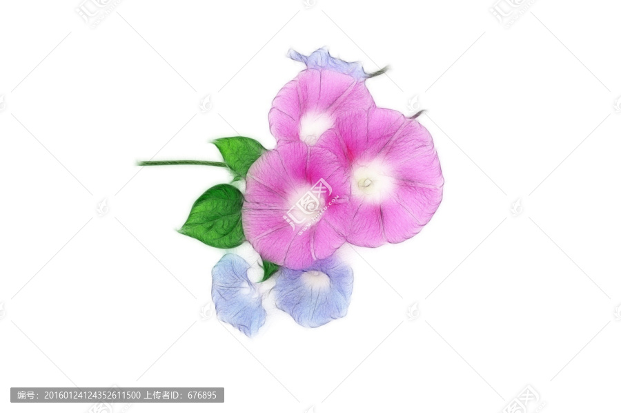 喇叭花設(shè)計素材