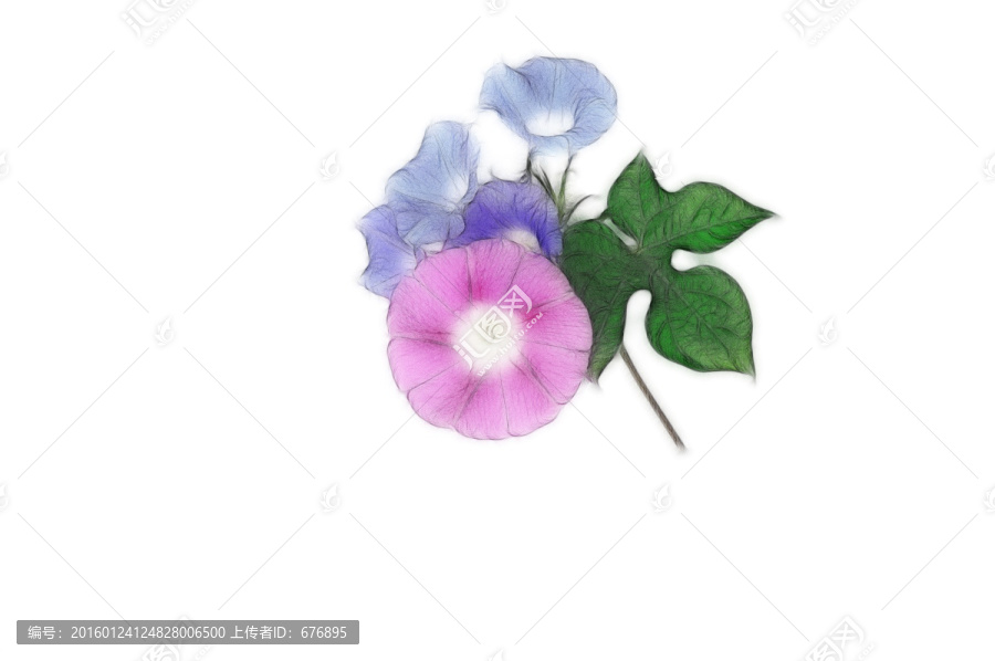 喇叭花設(shè)計(jì)素材