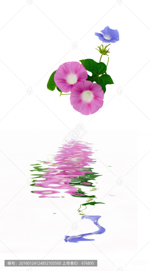 花境