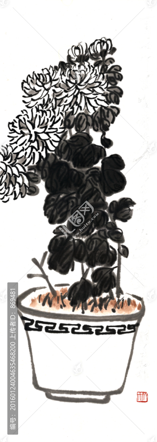 齊白石,菊花,未分層