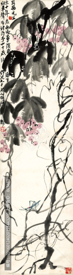 齊白石,葡萄藤蘿,未分層