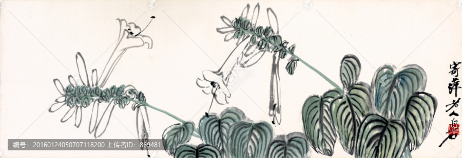 齊白石,玉簪花,未分層