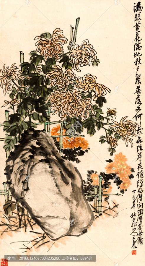 王一亭,菊花圖軸,未分層