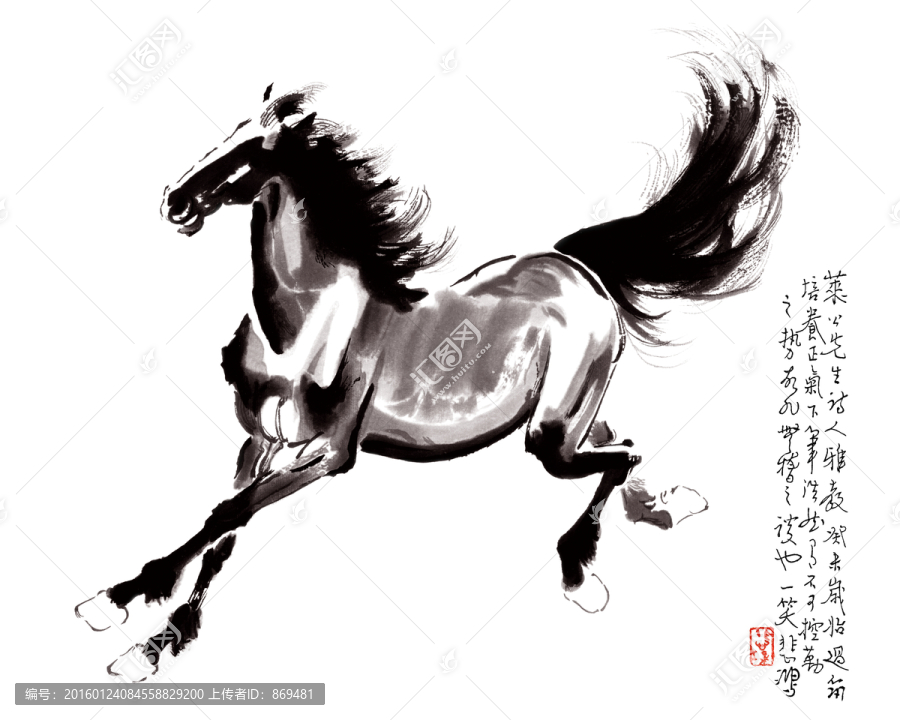徐悲鴻,小馬,未分層