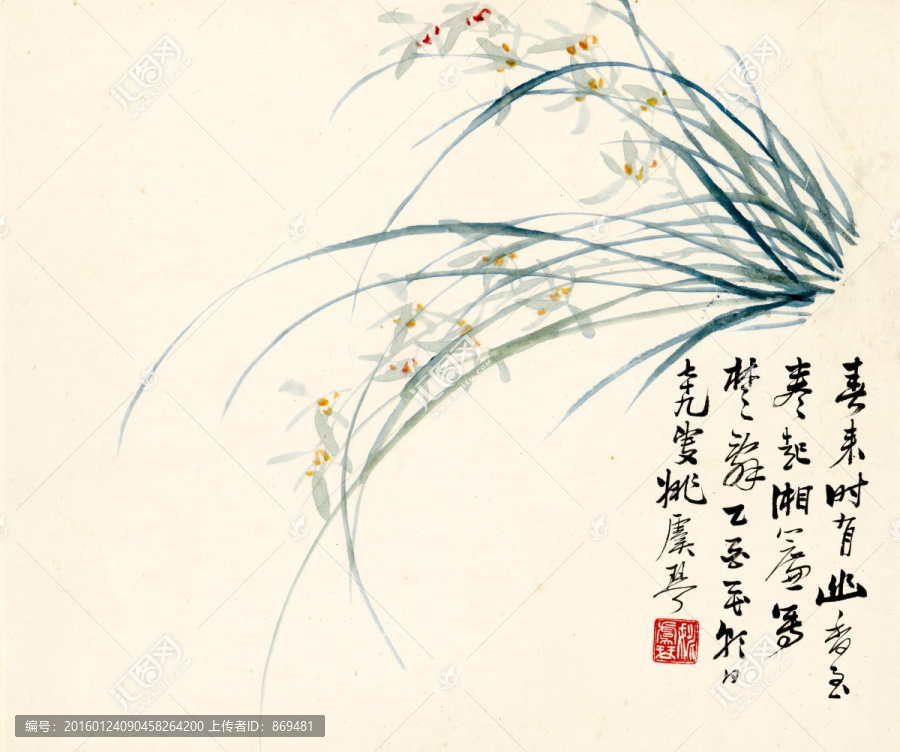 姚虞琴,蘭花圖軸,未分層