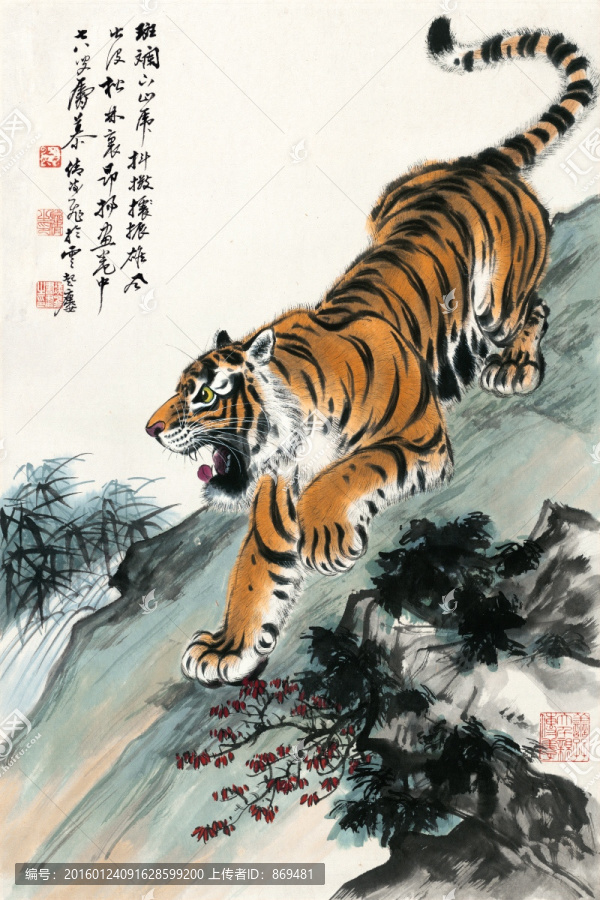 張善孖,老虎,未分層