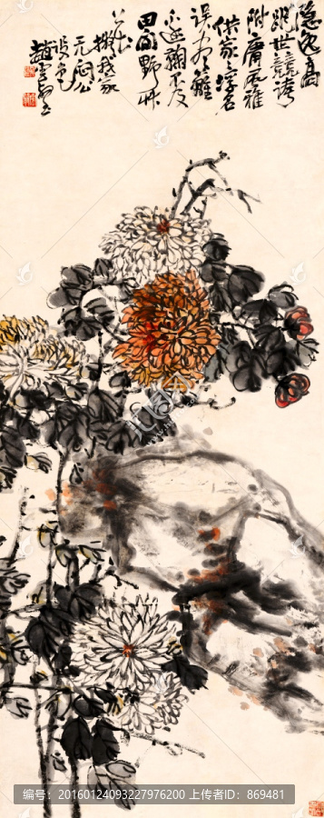 趙子云,秋菊圖軸,未分層