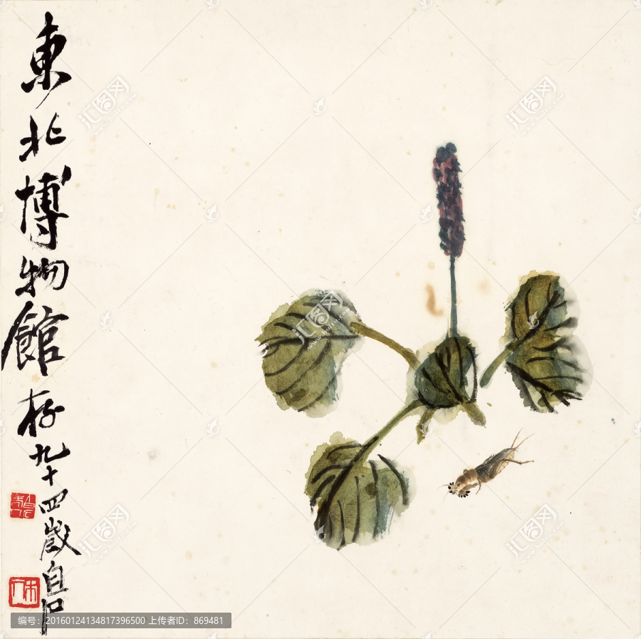 齊白石,螻蛄紅蓼圖,未分層