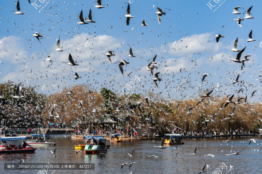 昆明翠湖公园