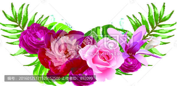 花園分層圖