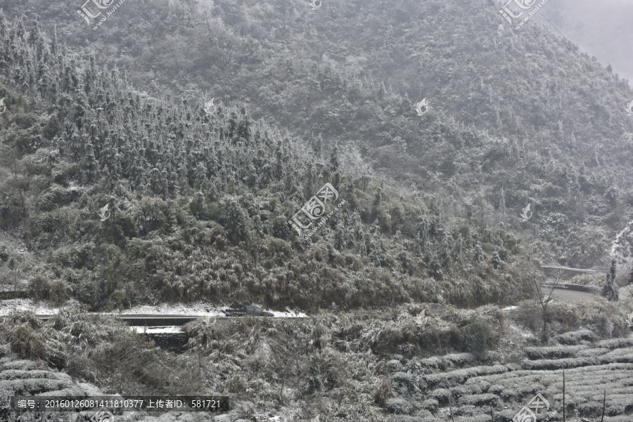 雪中大山