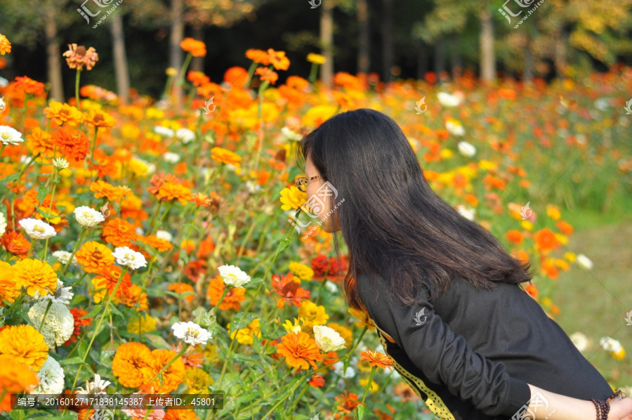 闻花香