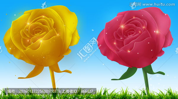 瑰玫花黃瑰玫花金色玫瑰