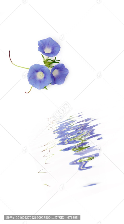 藍色唯美