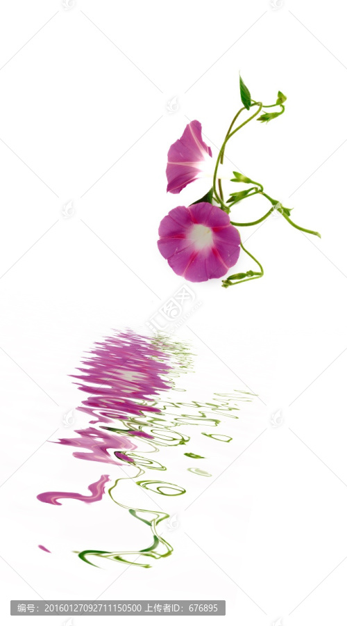 創(chuàng)意素材