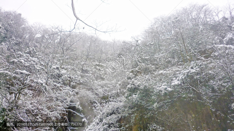 黃連河雪景,雪景,冰雪樹枝